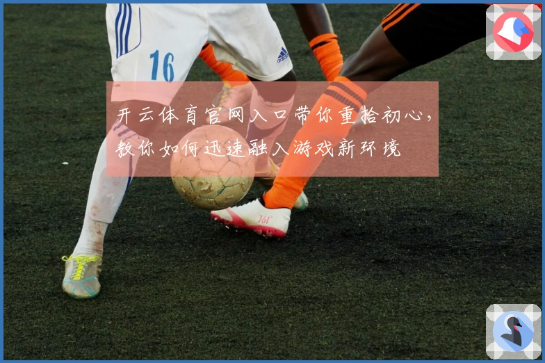 开云体育官网入口带你重拾初心，教你如何迅速融入游戏新环境