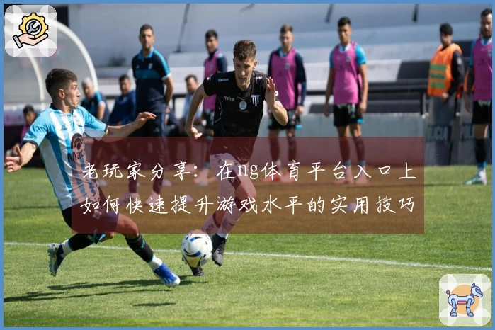 老玩家分享：在ng体育平台入口上如何快速提升游戏水平的实用技巧