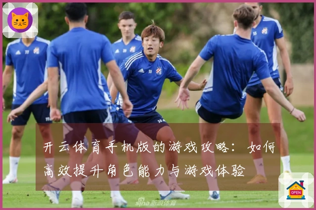 开云体育手机版的游戏攻略：如何高效提升角色能力与游戏体验